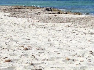 I wish to be fucked by a big hard cock on the beach with public part II
