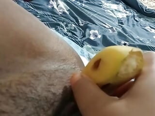 Janda gersang masuk pisang