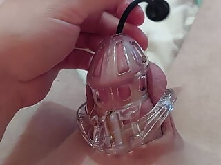 Sounding my cock in chastity and cum on my string