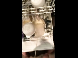 washing my dishes