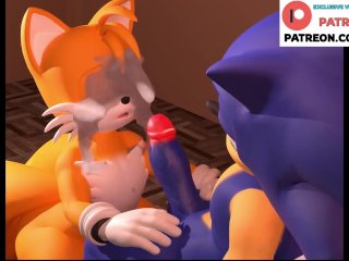Hot Trap Sonic Hentai Story And Creampie  Best Trap Furry Hentai 4k 60fps